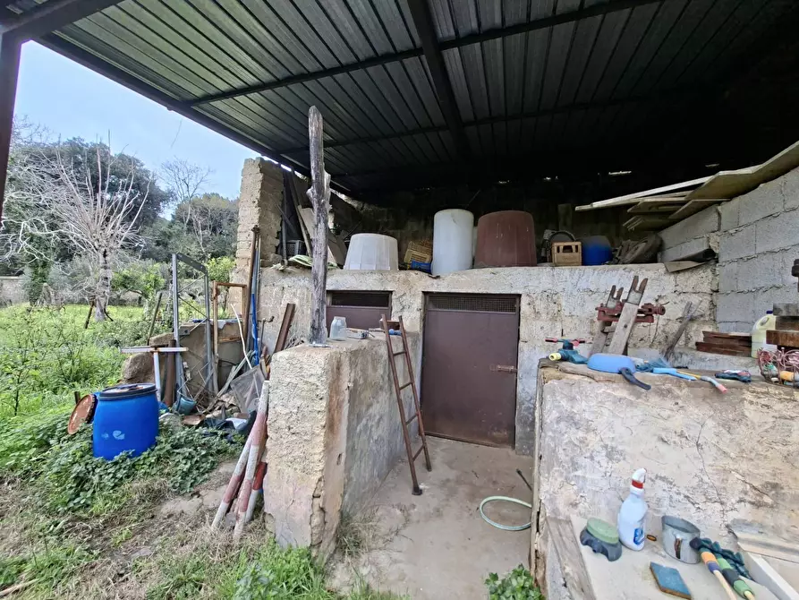 Immagine 29 di Appartamento in vendita  in VIA BELLOMO 7 a Caserta