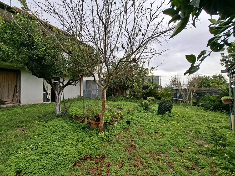 Immagine 30 di Appartamento in vendita  in VIA BELLOMO 7 a Caserta