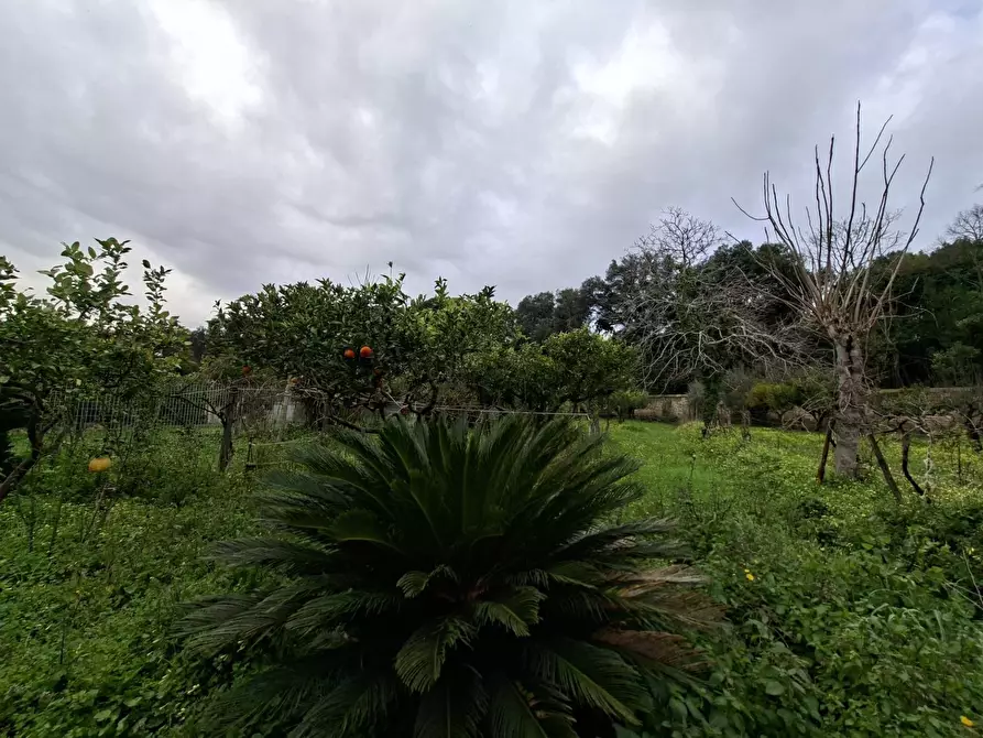 Immagine 32 di Appartamento in vendita  in VIA BELLOMO 7 a Caserta