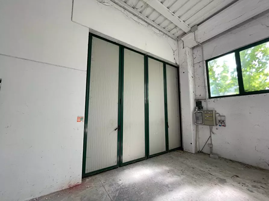 Immagine 5 di Capannone industriale in vendita  in Via Veneto a Casale Di Scodosia