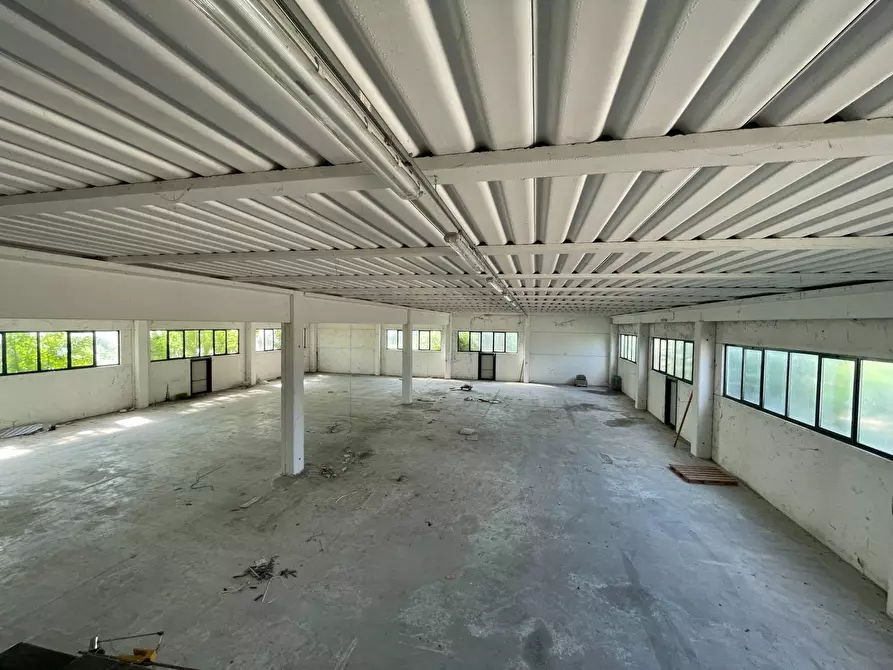 Immagine 2 di Capannone industriale in vendita  in Via Veneto a Casale Di Scodosia