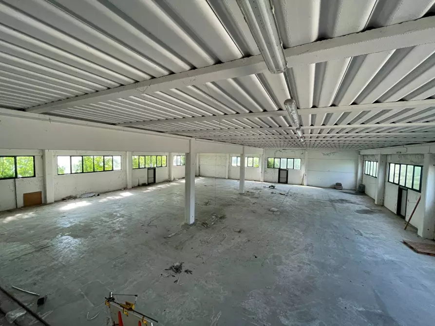 Immagine 6 di Capannone industriale in vendita  in Via Veneto a Casale Di Scodosia