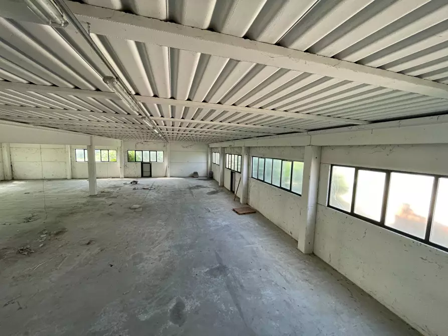 Immagine 3 di Capannone industriale in vendita  in Via Veneto a Casale Di Scodosia