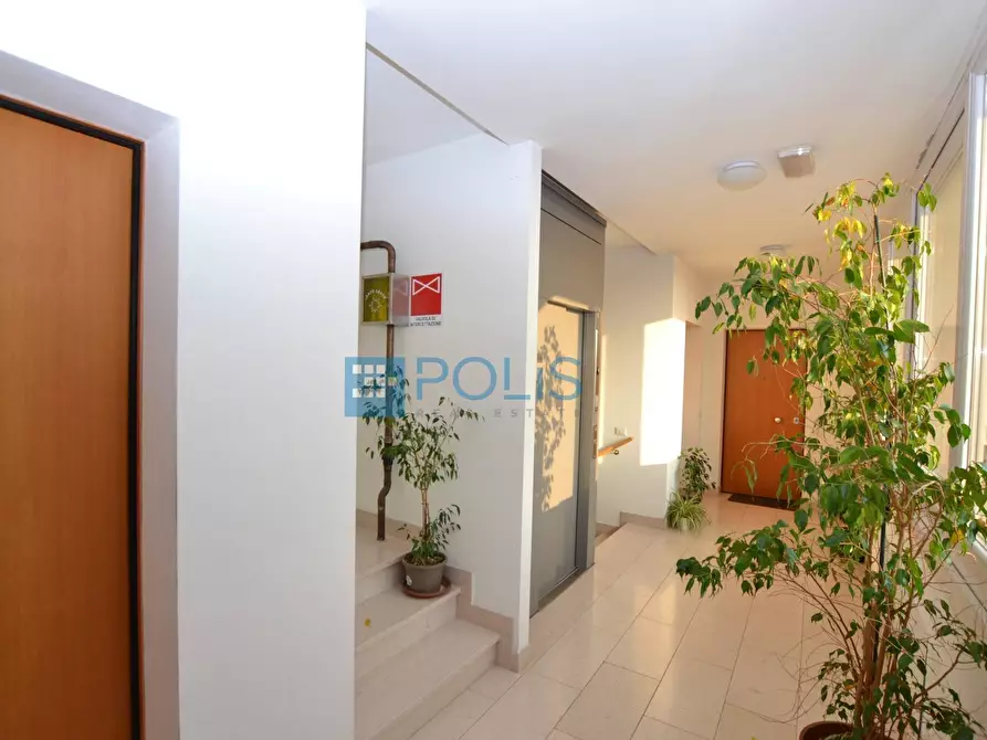 Immagine 14 di Appartamento in affitto  in San Lorenzo Padova a Padova