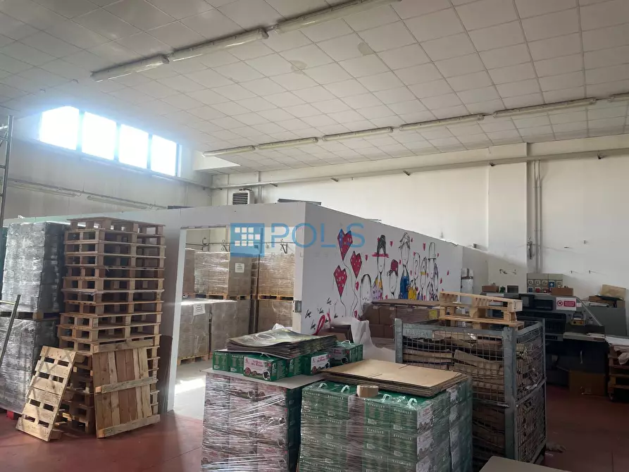 Immagine 7 di Capannone industriale in affitto  in VIA PITAGORA a Rubano