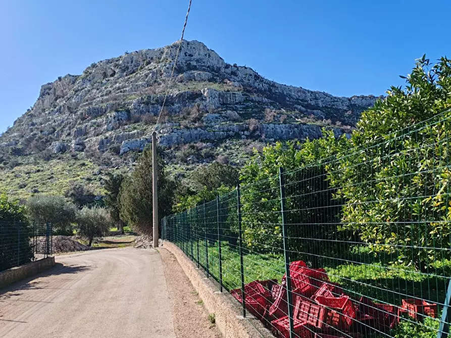 Immagine 5 di Azienda agricola in vendita  in CONTRADA MONASTERI SNC a Floridia