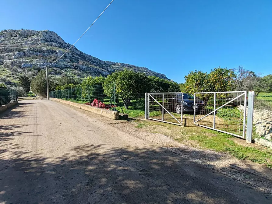 Immagine 8 di Azienda agricola in vendita  in CONTRADA MONASTERI SNC a Floridia