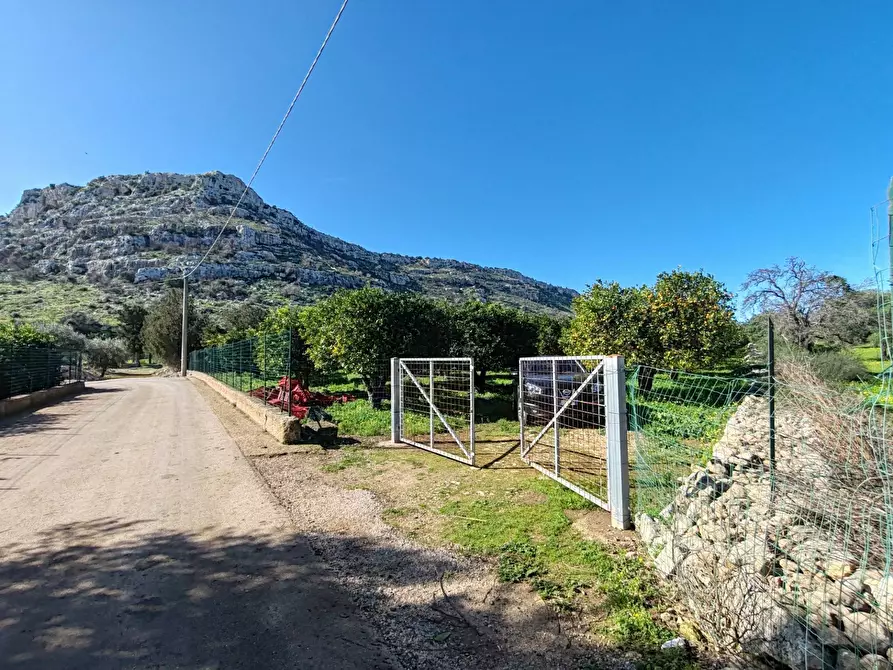 Immagine 9 di Azienda agricola in vendita  in CONTRADA MONASTERI SNC a Floridia