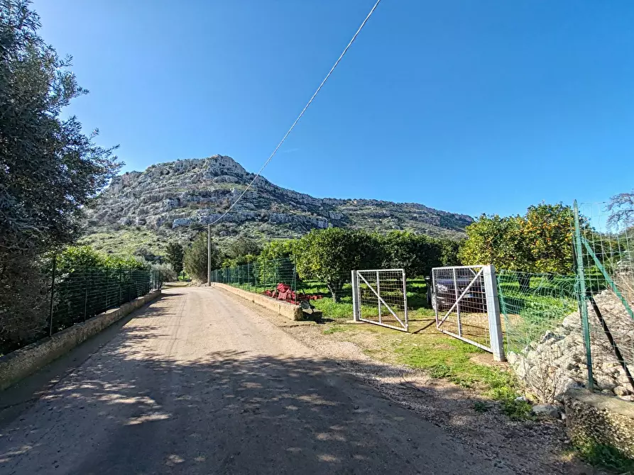 Immagine 7 di Azienda agricola in vendita  in CONTRADA MONASTERI SNC a Floridia