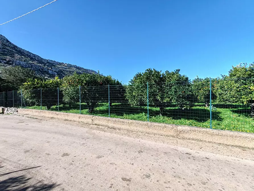 Immagine 6 di Azienda agricola in vendita  in CONTRADA MONASTERI SNC a Floridia