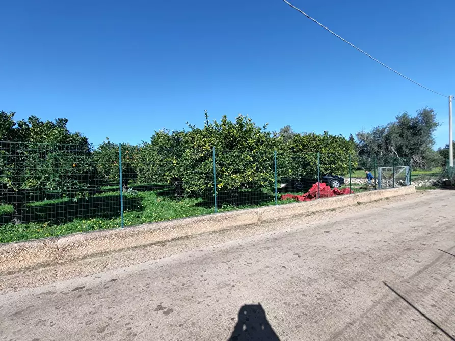 Immagine 2 di Azienda agricola in vendita  in CONTRADA MONASTERI SNC a Floridia