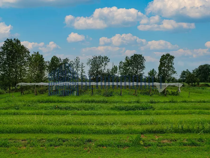 Immagine 1 di Terreno agricolo in vendita  in 25 Aprile 1945 a Rezzato