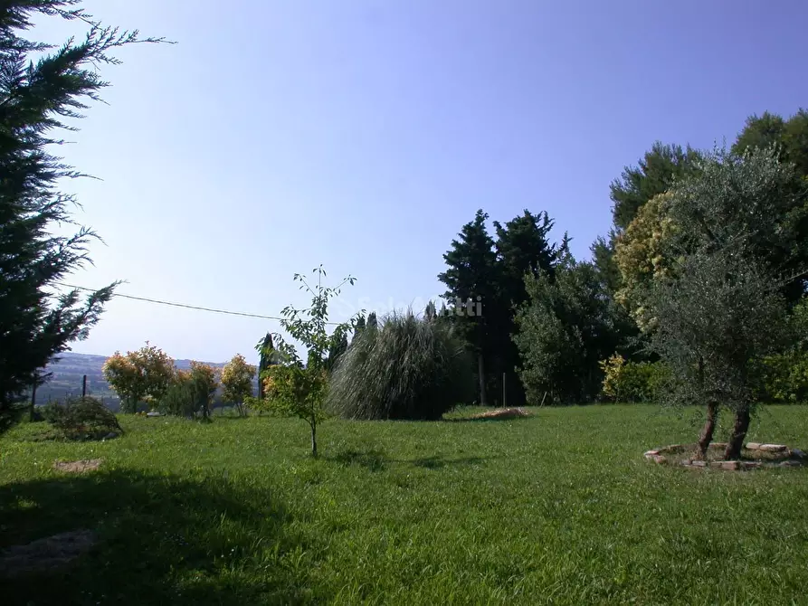 Immagine 6 di Appartamento in affitto  in strada Pozzetti 4 a Pesaro