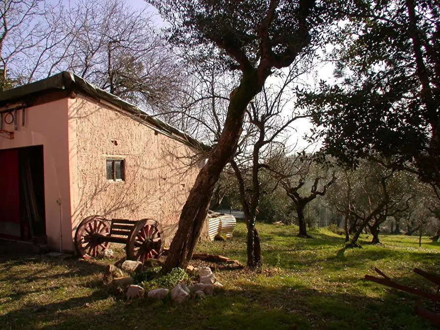 Immagine 34 di Casa semindipendente in vendita  in VIA SAVIGNANO a Cartoceto