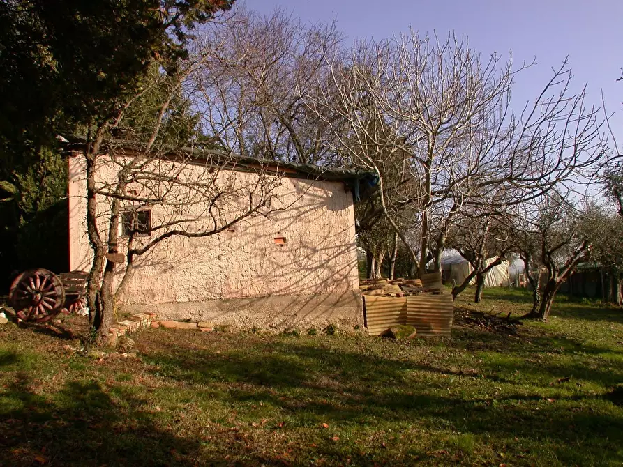 Immagine 35 di Casa semindipendente in vendita  in VIA SAVIGNANO a Cartoceto