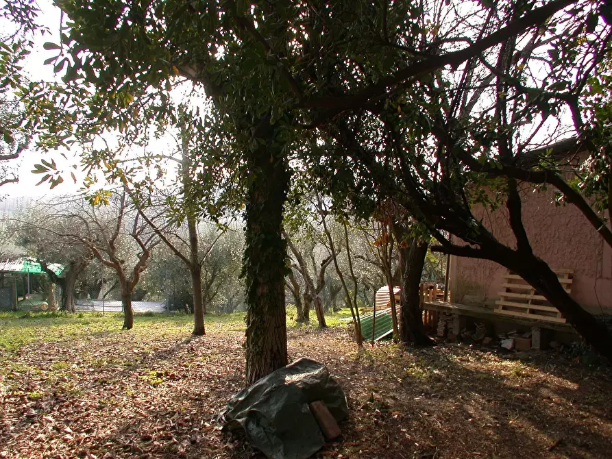 Immagine 38 di Casa semindipendente in vendita  in VIA SAVIGNANO a Cartoceto