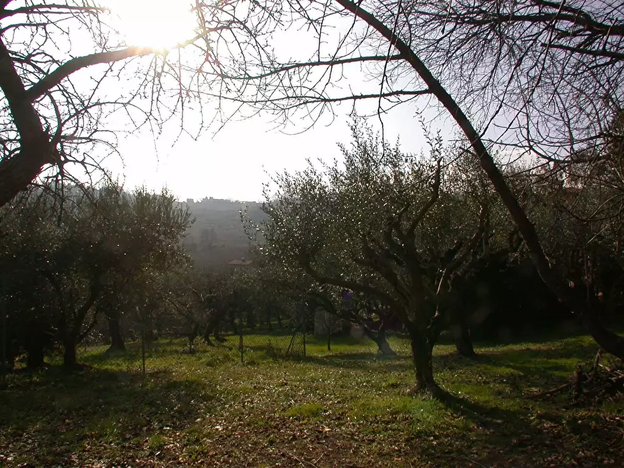 Immagine 39 di Casa semindipendente in vendita  in VIA SAVIGNANO a Cartoceto