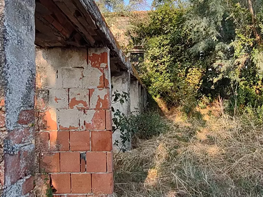 Immagine 20 di Rustico / casale in vendita  in via Villagrande loc. Pianosa a Mombaroccio