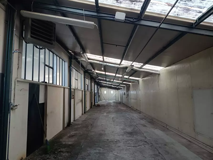 Immagine 4 di Capannone industriale in affitto  a Pesaro