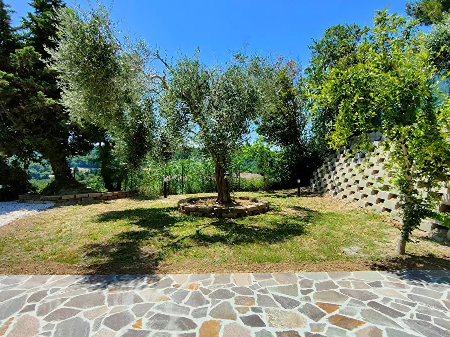 Immagine 29 di Casa semindipendente in affitto  in strada flaminia a Pesaro
