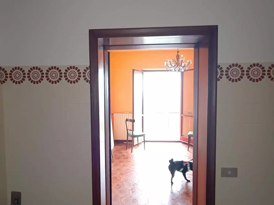 Immagine 8 di Villa in vendita  a Mombaroccio