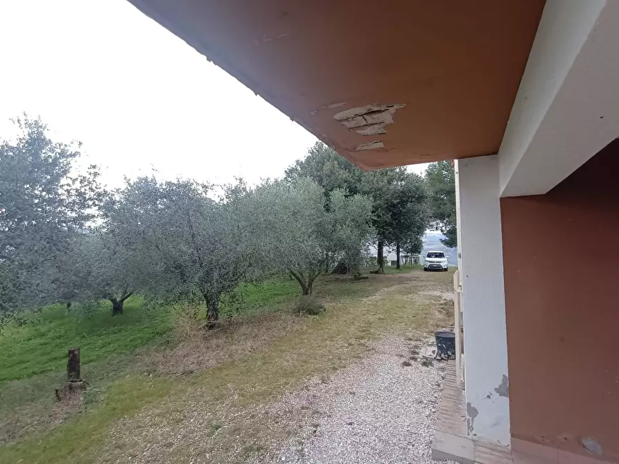 Immagine 18 di Villa in vendita  a Mombaroccio