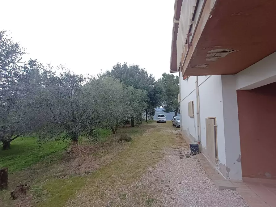 Immagine 19 di Villa in vendita  a Mombaroccio