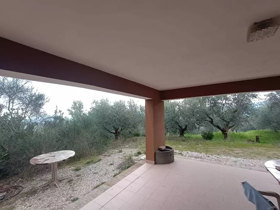 Immagine 1 di Villa in vendita  a Mombaroccio