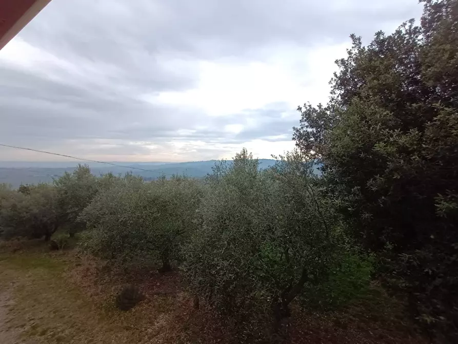 Immagine 21 di Villa in vendita  a Mombaroccio