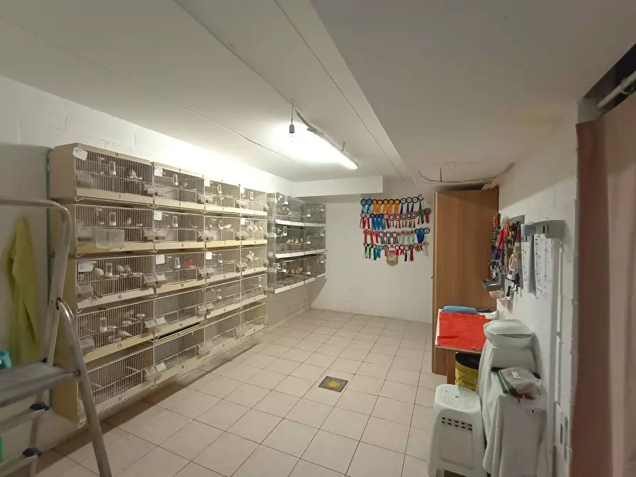 Immagine 19 di Appartamento in vendita  in XXVIII 8 a Fano