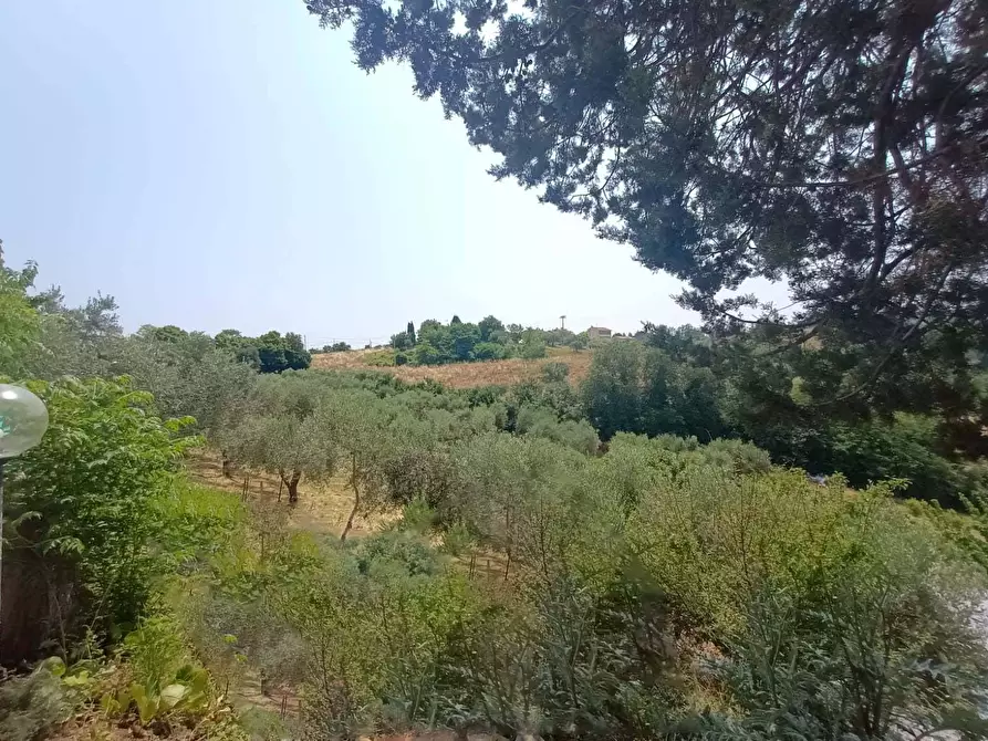 Immagine 3 di Casa indipendente in vendita  a Mombaroccio