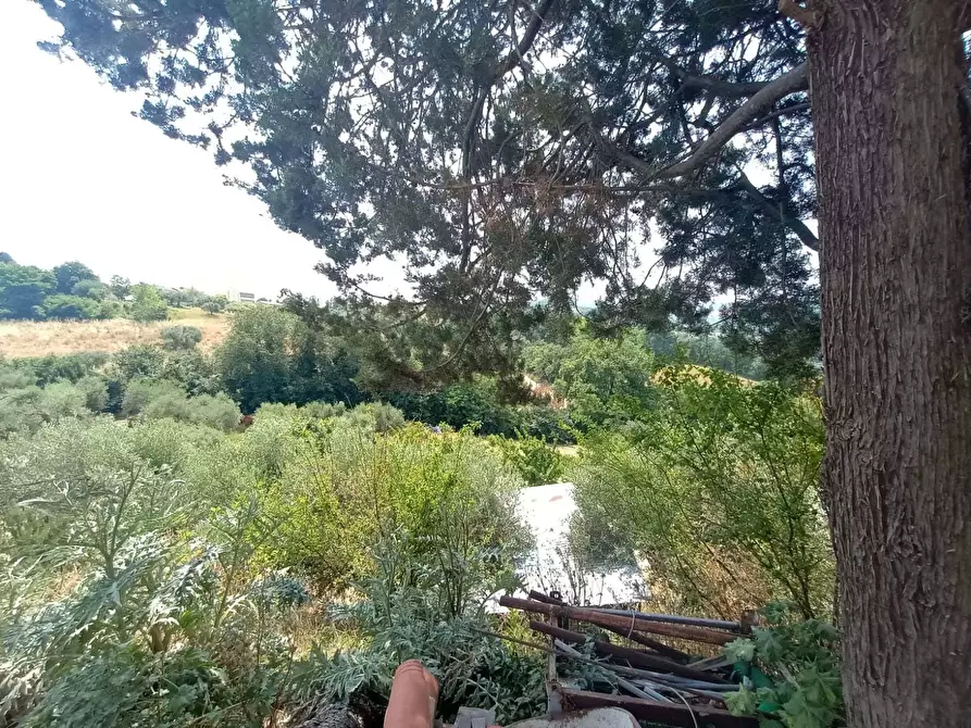 Immagine 26 di Casa indipendente in vendita  a Mombaroccio