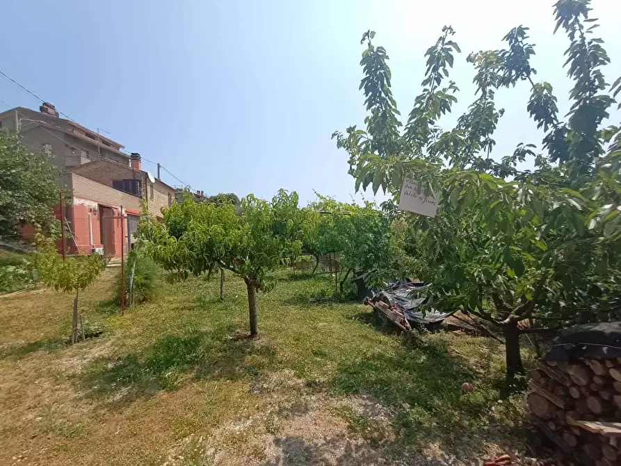 Immagine 25 di Casa indipendente in vendita  a Mombaroccio