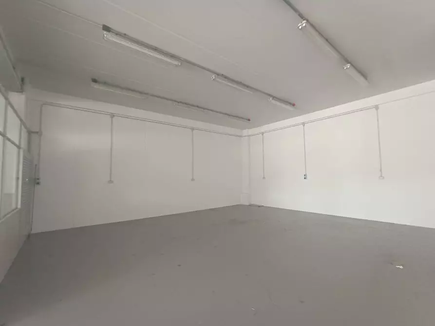 Immagine 11 di Locale commerciale in vendita  in VIA DELLE BETULLE a Pesaro