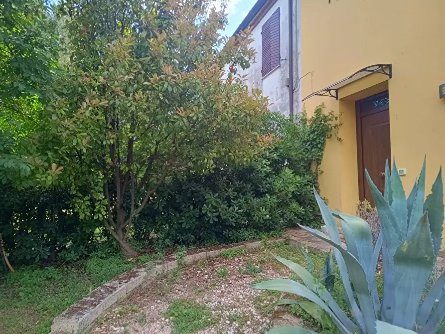 Immagine 3 di Appartamento in affitto  in strada pozzetti 4 a Pesaro