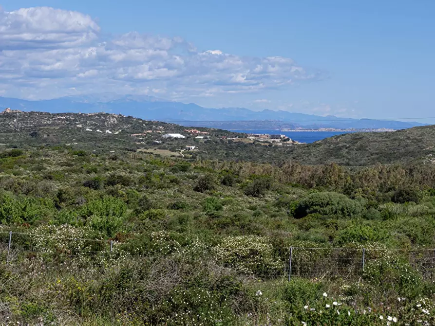 Immagine 1 di Terreno agricolo in vendita  in Capizza Di Vacca a Santa Teresa Gallura