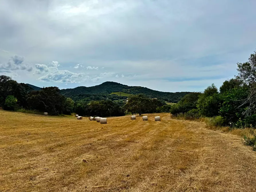 Immagine 8 di Terreno agricolo in vendita  a Aggius