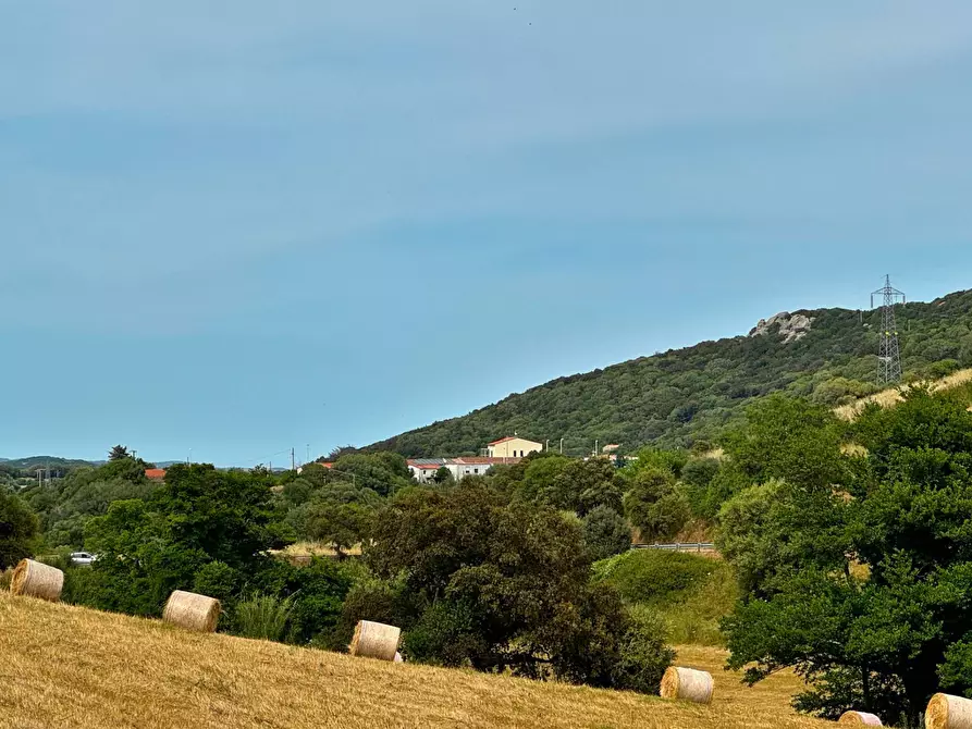 Immagine 11 di Terreno agricolo in vendita  a Aggius