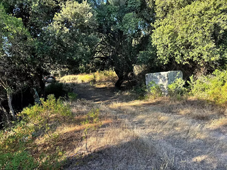 Immagine 8 di Casa semindipendente in vendita  in Località Stazzo Ziu Malcu Austinu a Aggius