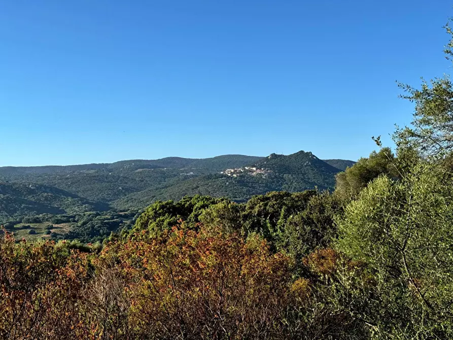 Immagine 9 di Casa semindipendente in vendita  in Località Stazzo Ziu Malcu Austinu a Aggius