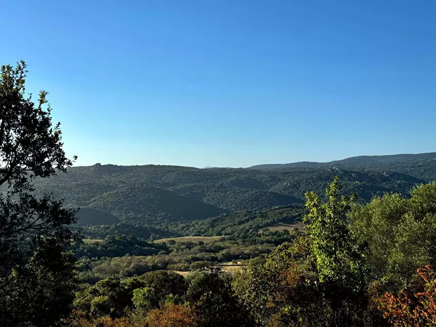 Immagine 10 di Casa semindipendente in vendita  in Località Stazzo Ziu Malcu Austinu a Aggius