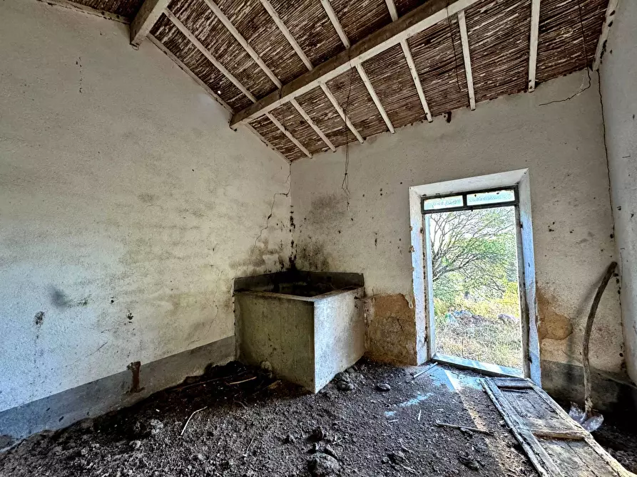 Immagine 11 di Casa semindipendente in vendita  in Località Stazzo Ziu Malcu Austinu a Aggius