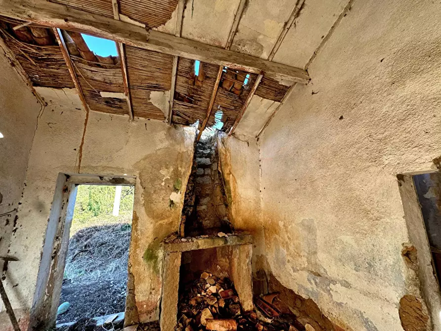 Immagine 12 di Casa semindipendente in vendita  in Località Stazzo Ziu Malcu Austinu a Aggius