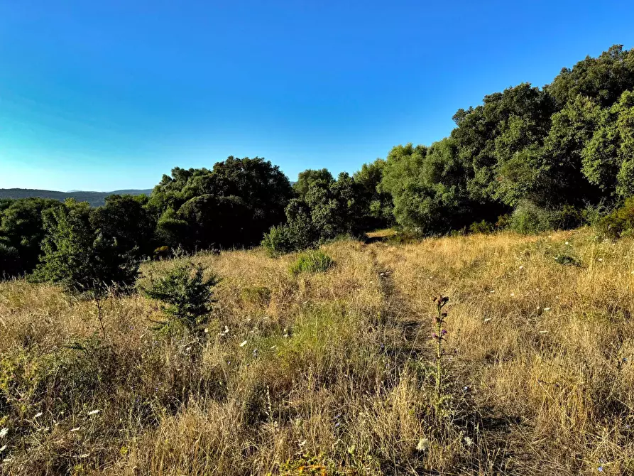 Immagine 13 di Casa semindipendente in vendita  in Località Stazzo Ziu Malcu Austinu a Aggius