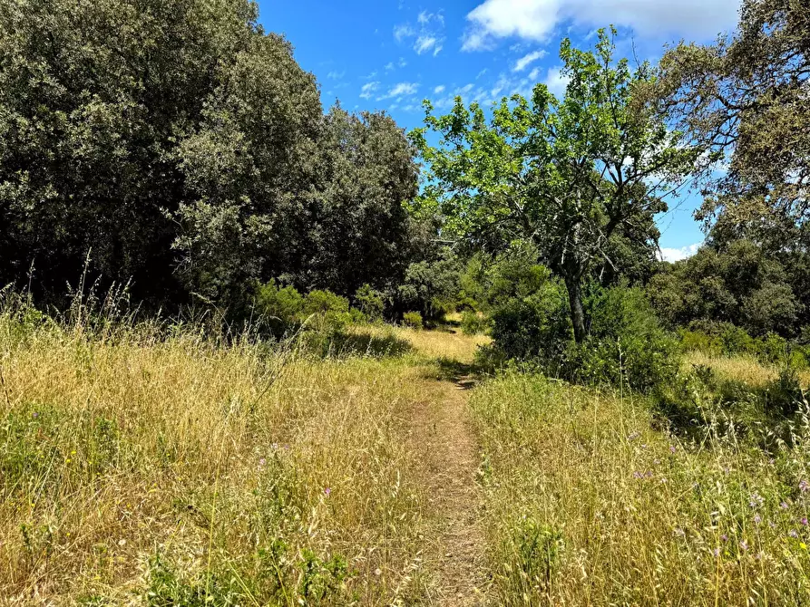 Immagine 5 di Casa semindipendente in vendita  in Località Stazzo Ziu Malcu Austinu a Aggius