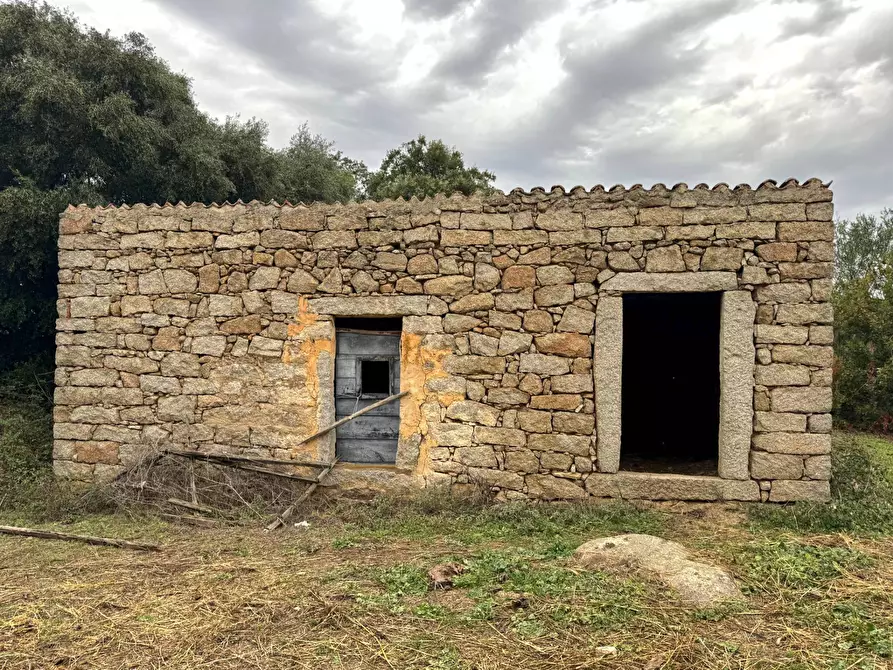 Immagine 3 di Terreno agricolo in vendita  a Aggius