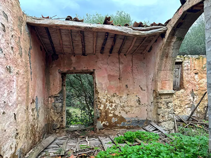 Immagine 9 di Terreno agricolo in vendita  a Aggius