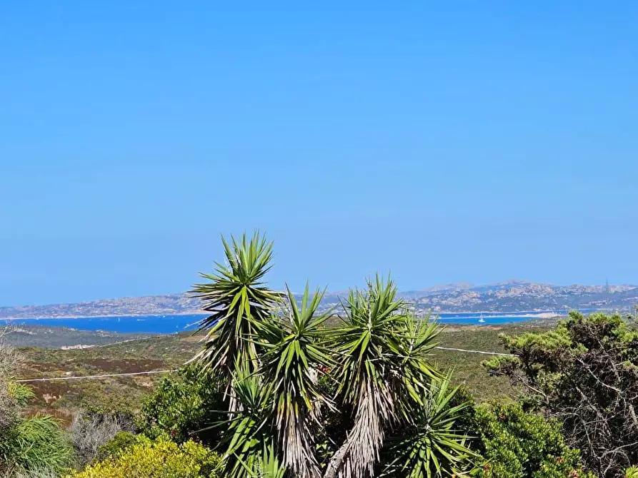 Immagine 1 di Casa semindipendente in vendita  in Località Saltara snc a Santa Teresa Gallura