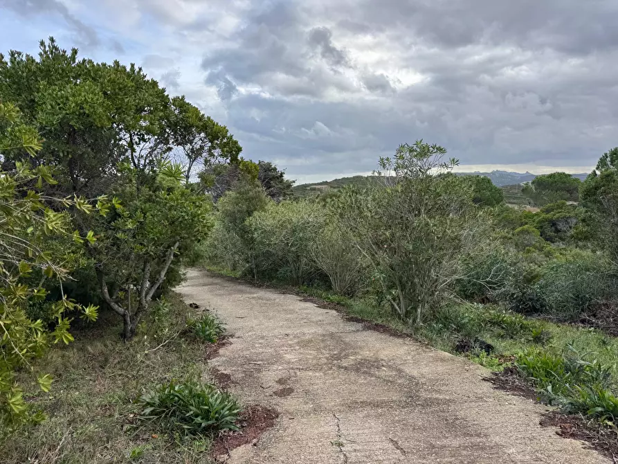 Immagine 4 di Casa semindipendente in vendita  in Località Saltara snc a Santa Teresa Gallura
