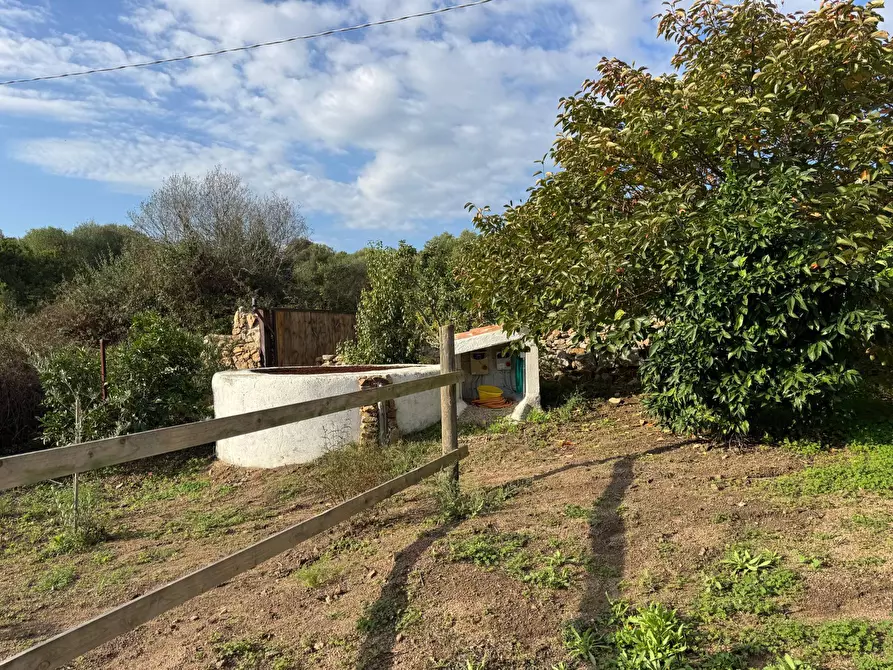Immagine 19 di Casa semindipendente in vendita  in località sn a Arzachena
